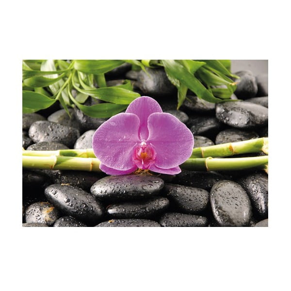 Fotoobraz Orchidea, 51x81 cm