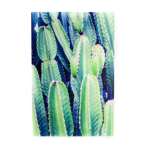 Nástenný obraz Velvet Atelier Cactus, 40 × 60 cm