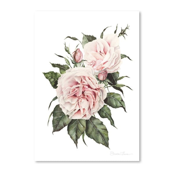 Plagát Pink Garden Roses by Shealeen Louise, 30 x 42 cm
