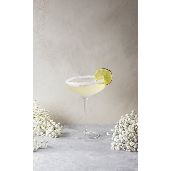 Pohár na šampanské Eva Solo Coupe, 200 ml-image-3