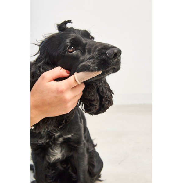 Zubné kefky pre domáceho maznáčika v súprave Dito – MiaCara-image-1