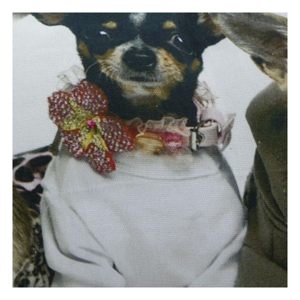 Vankúš Chihuahuas 35x50 cm-image-1