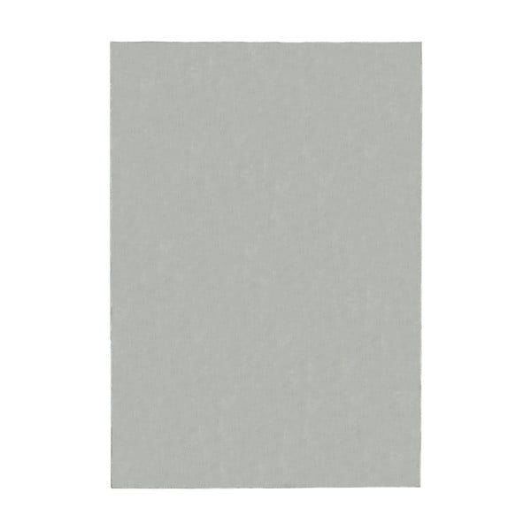 Svetlosivý koberec 140x200 cm – Flair Rugs
