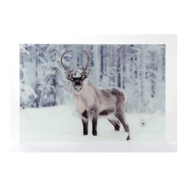 Sklenený obraz Amadeus Reindeer