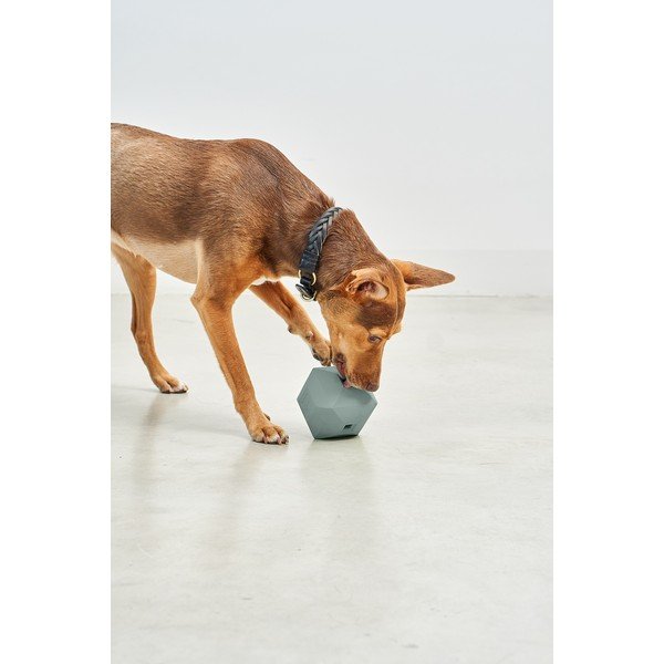 Hračka pre psa Dado Eucalyptus – MiaCara-image-1