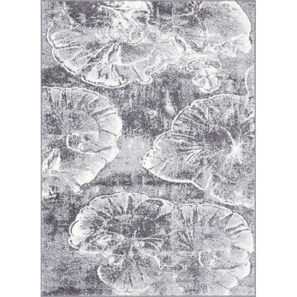 Sivý koberec 80x120 cm Avanti – FD