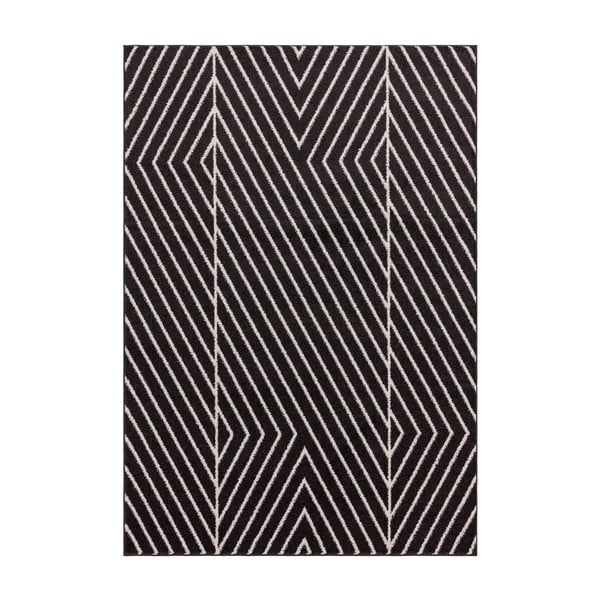 Čierno-biely koberec 160x230 cm Muse – Asiatic Carpets