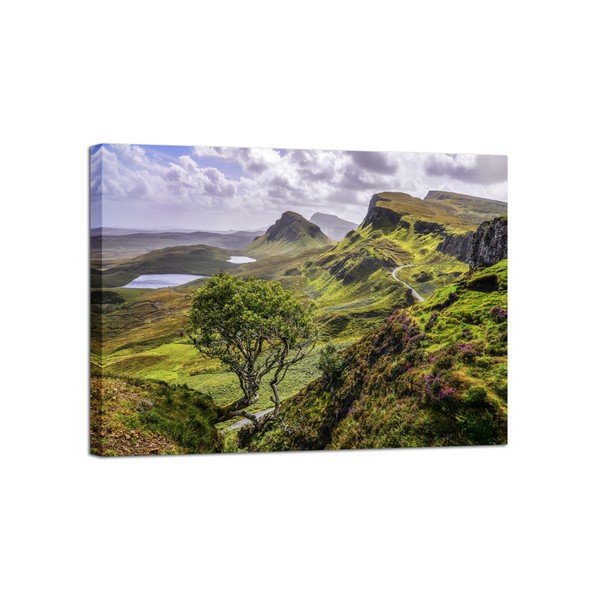 Obraz Styler Canvas Scotland Nature, 85 × 113 cm