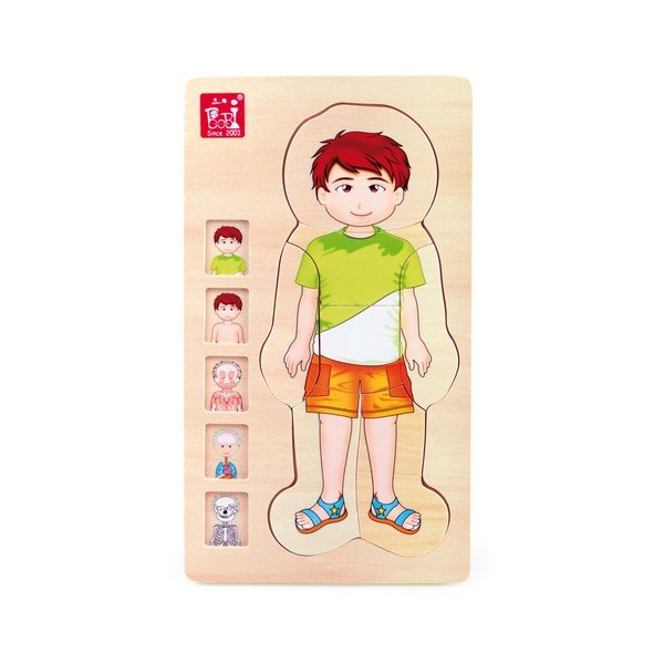 Drevená hračka Legler Anatomy Boy-image-1