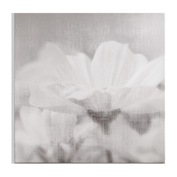 Obraz Graham & Brown Daisy Daydream, 70 × 70 cm
