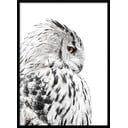 Plagát v ráme 50x70 cm Owl - Styler