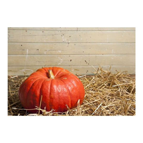 Vinylová predložka Pumpkin, 52 × 75 cm