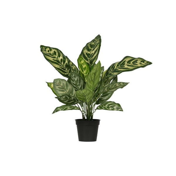 Umelá aglaonema WOOOD, výška 50 cm