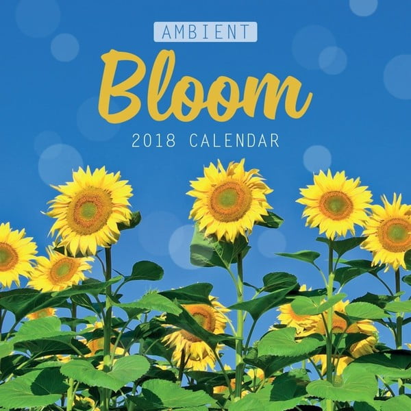 Nástenný kalendár na rok 2018 Portico Designs Ambient Blooms
