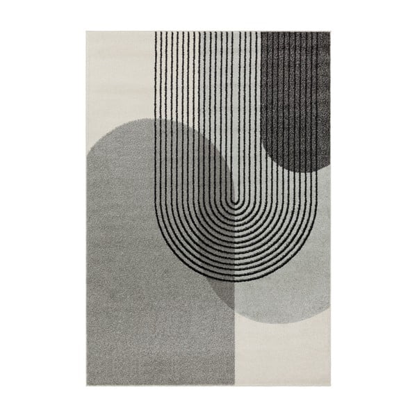 Sivý koberec 170x120 cm Muse - Asiatic Carpets