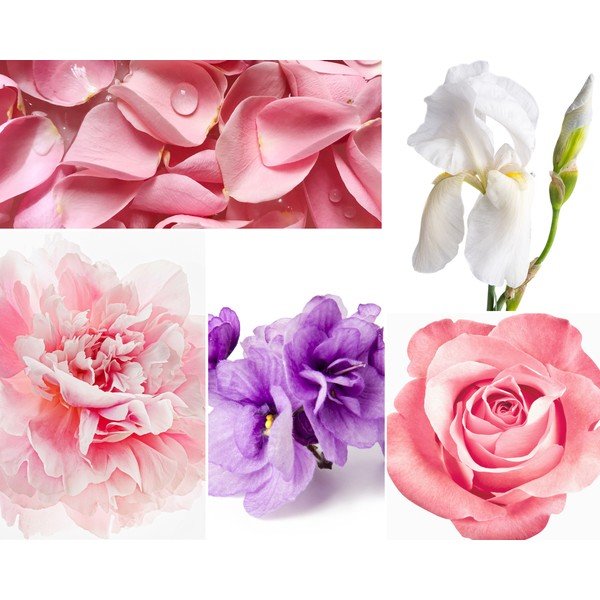 Tyčový difuzér Privé Home Rose Pivoine, 200 ml-image-1