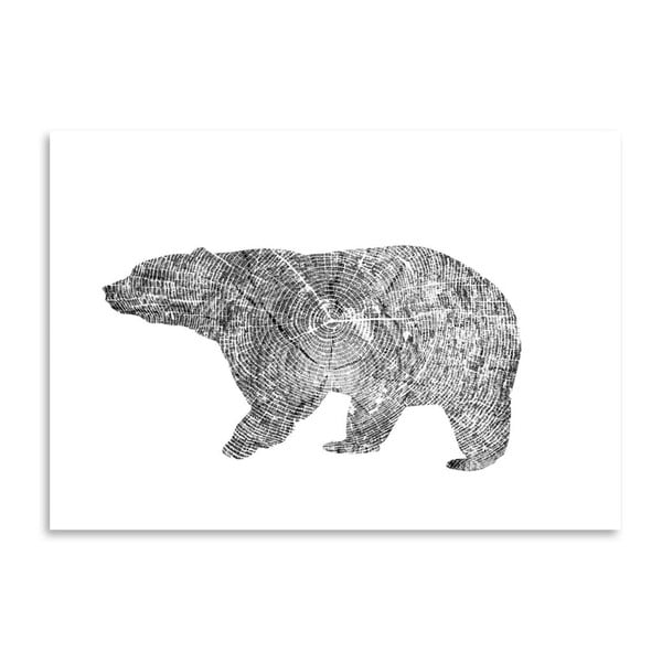 Plagát Americanflat Bear, 30 x 42 cm