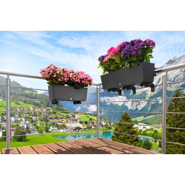 Hrantík 50 cm Supreme – Flower Lover-image-1