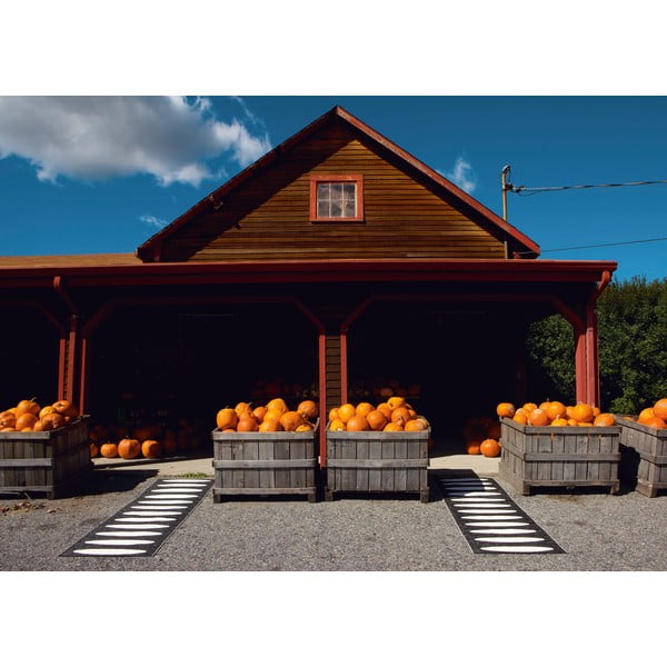 Čierny vnútorný a vonkajší behúň 70x150 cm Ella Black – Pappelina-image-3