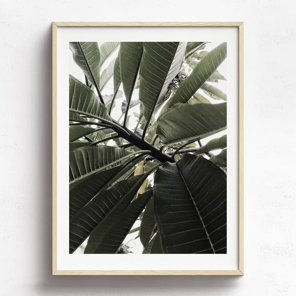 Obraz v drevenom ráme HF Living Fasnia, 30 x 40 cm