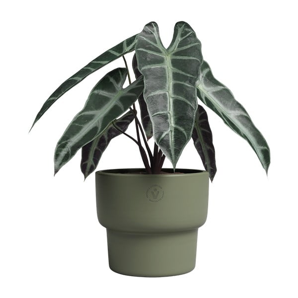 Keramický ručne vyrobený kvetináč ø 17 cm Echo – Artevasi-image-2