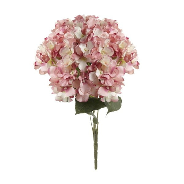 Ružová dekoratívna kvetina Heaven Sends Hydrangea