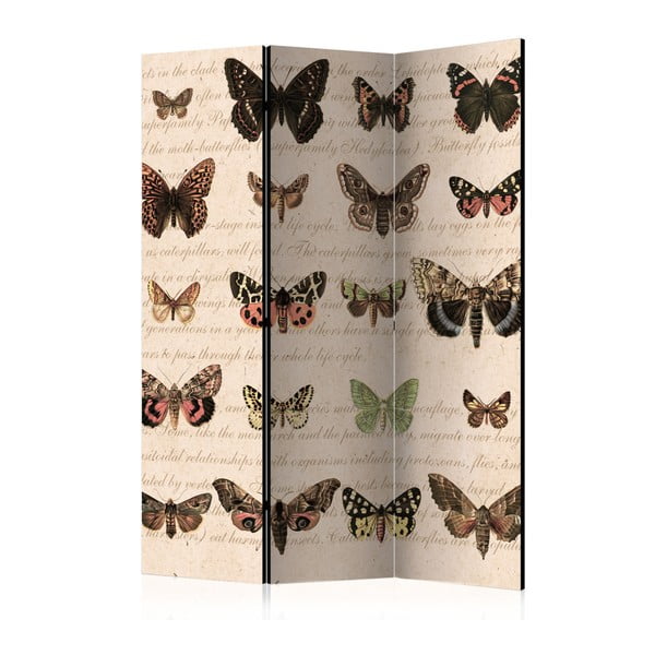 Paraván Artgeist Butterfly Collection, 135 × 172 cm