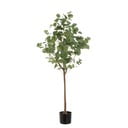 Umelý kvet Eucalyptus – Casa Selección