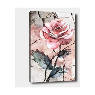 Nástenný obraz na plátne Tablo Center Rose, 40 × 60 cm