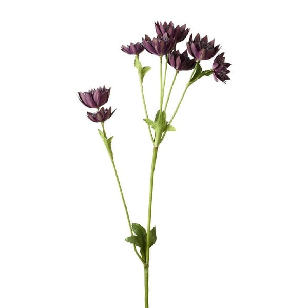 Umelá kvetina Strantia Purple