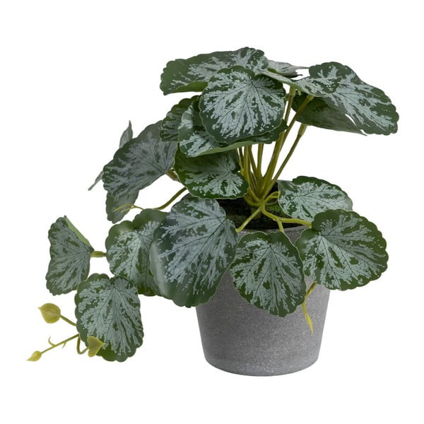 Umelá rastlina (výška 21,5 cm) Saxifraga – Ixia