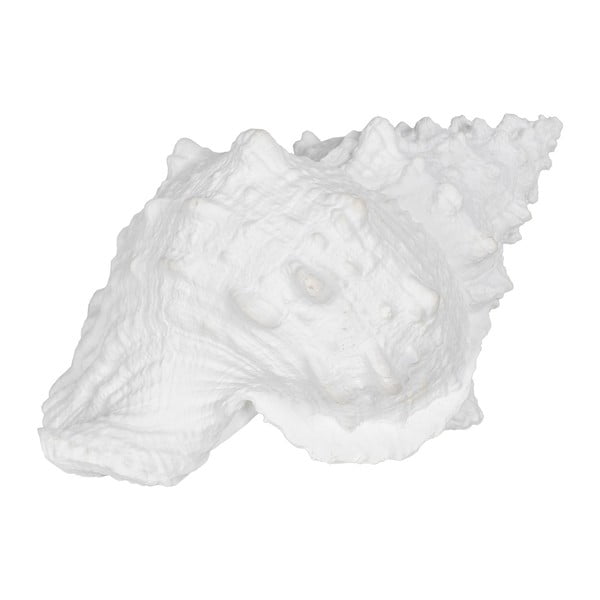 Soška z polyresínu (výška 12 cm) Seashell – Ixia-image-3