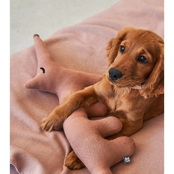 Hračka pre psa Bosco Rabbit – MiaCara-image-3