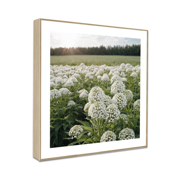 Obrazy v súprave 4 ks 30x30 cm Sunrise Hike-image-4