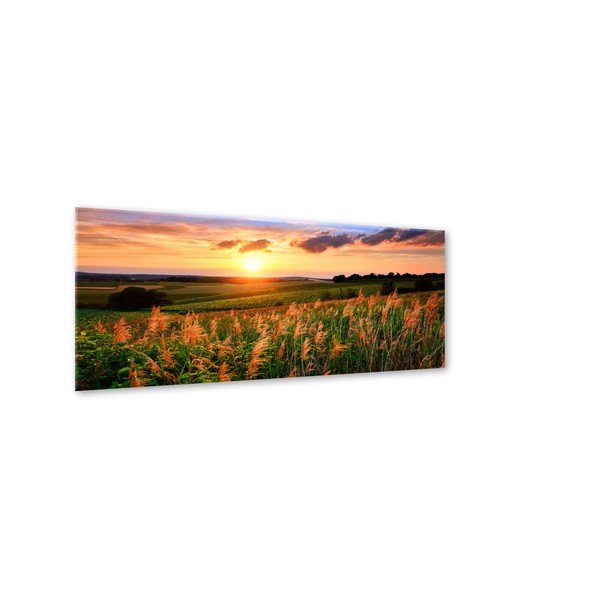 Obraz Styler Glas Sunset Meadow, 50 × 125 cm-image-1