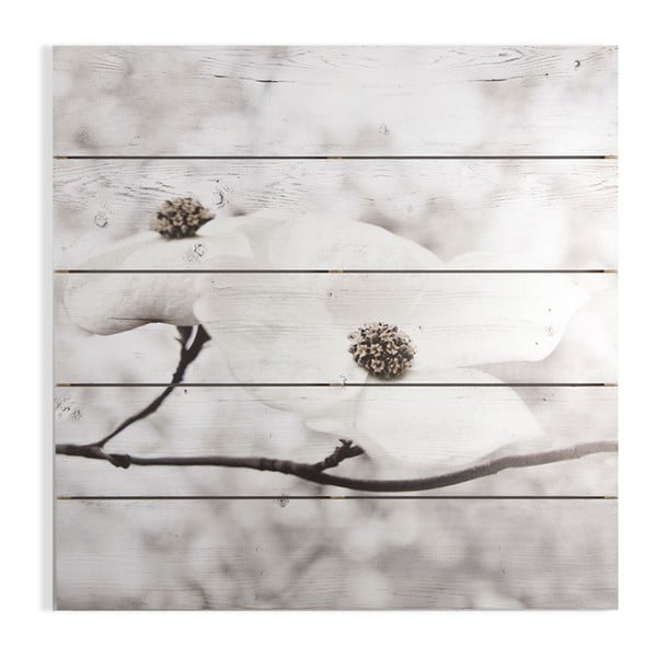Drevený obraz Graham & Brown Serenity Blossoms, 60 × 60 cm
