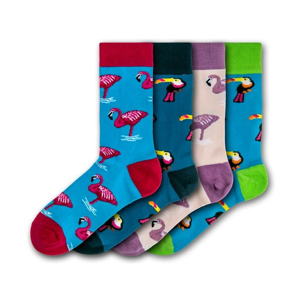 Sada 4 párov farebných ponožiek Funky Steps Flamingos and Toucas, veľkosť 35 - 39 a 41 - 45