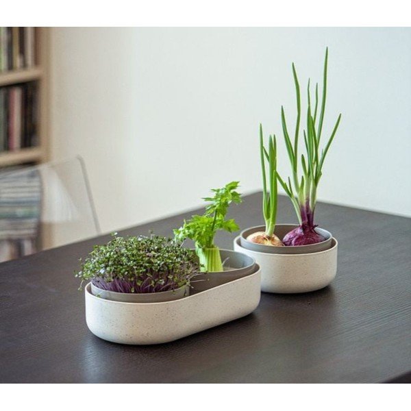 Plastová klíčiaca miska Microgreens + Regrow – Plastia-image-1