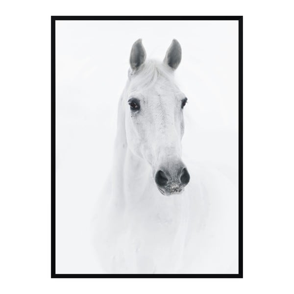 Plagát Nord & Co Horse, 21 x 29 cm
