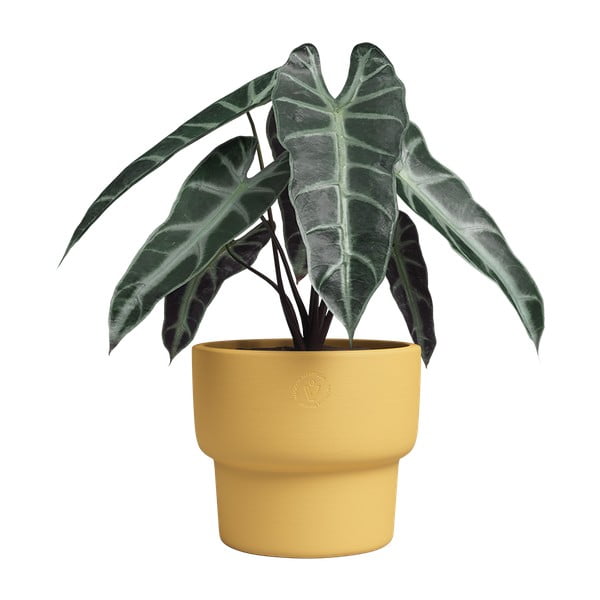 Keramický ručne vyrobený kvetináč ø 20 cm Echo – Artevasi-image-3