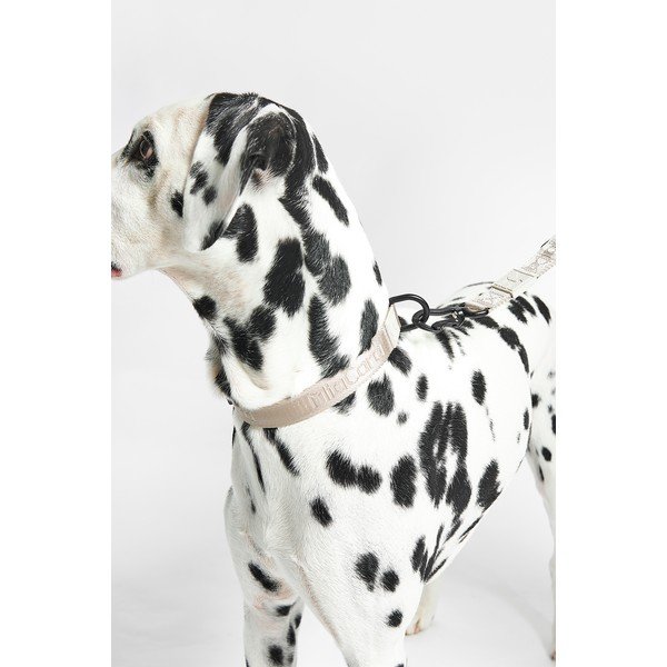 Béžový obojok veľkosť L/XL dĺžka 40 cm Modena Greige L/XL – MiaCara-image-1