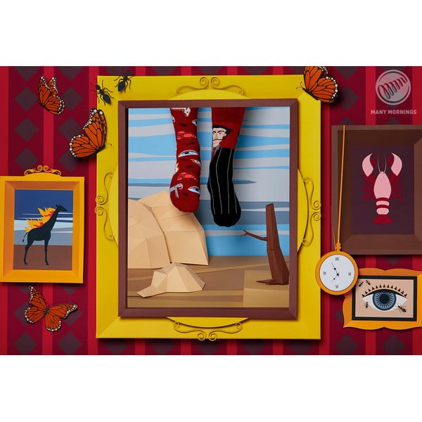 Ponožky Many Mornings Salvadorable, veľ. 39-42-image-1