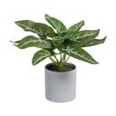 Umelá rastlina (výška 21 cm) Syngonium – Ixia