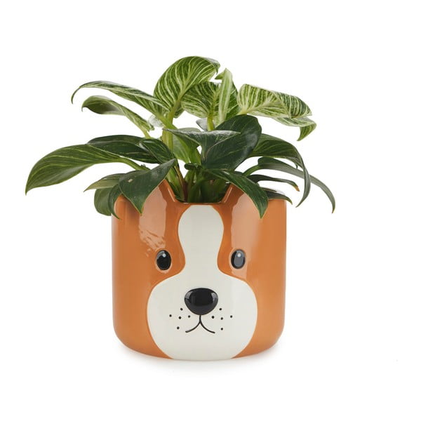 Keramický kvetináč ø 13,5 cm Woof – Balvi-image-1