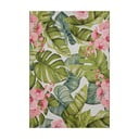 Vonkajší koberec 120x180 cm Flair – Hanse Home