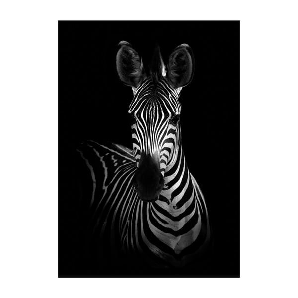 Plagát Imagioo Mighty Zebra, 40 × 30 cm