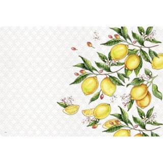 Plastové prestieranie 43x29 cm Citrons - IHR