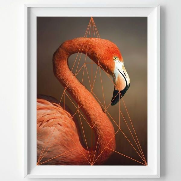 Plagát Flamingo Portrait, A3
