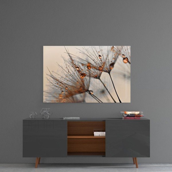 Sklenený obraz Insigne Cinnamon Dandelion, 72 x 46 cm-image-1