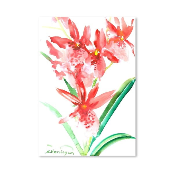 Plagát Orchids in Pink od Suren Nersisyan